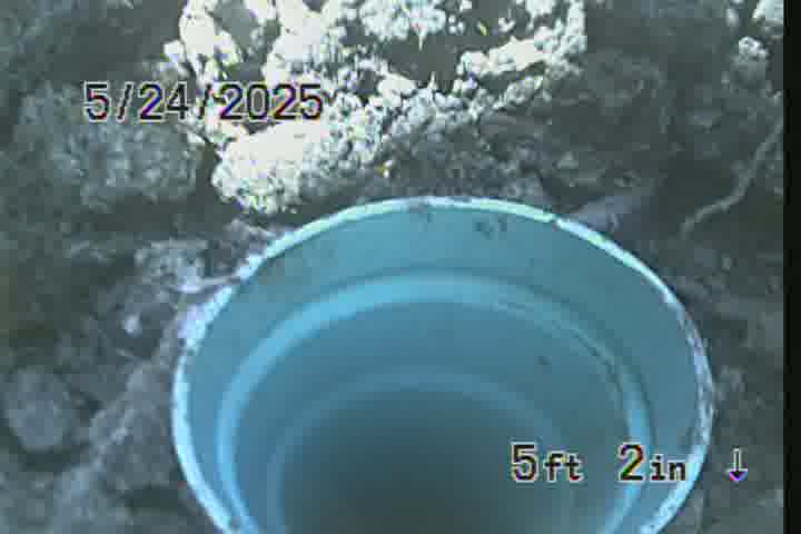 Frame